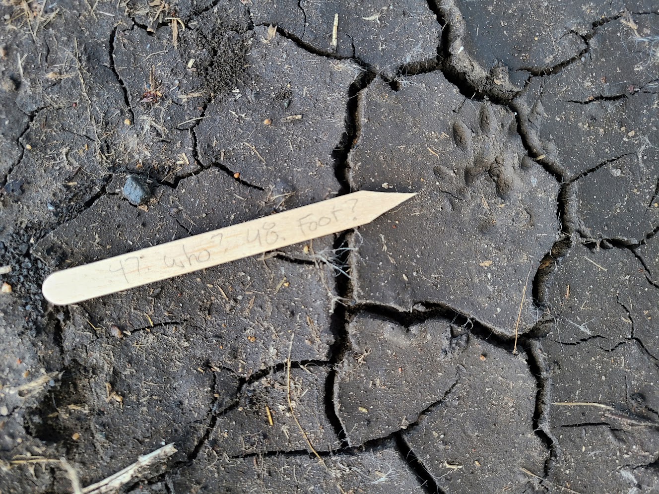 Track & Sign Practice Assessment