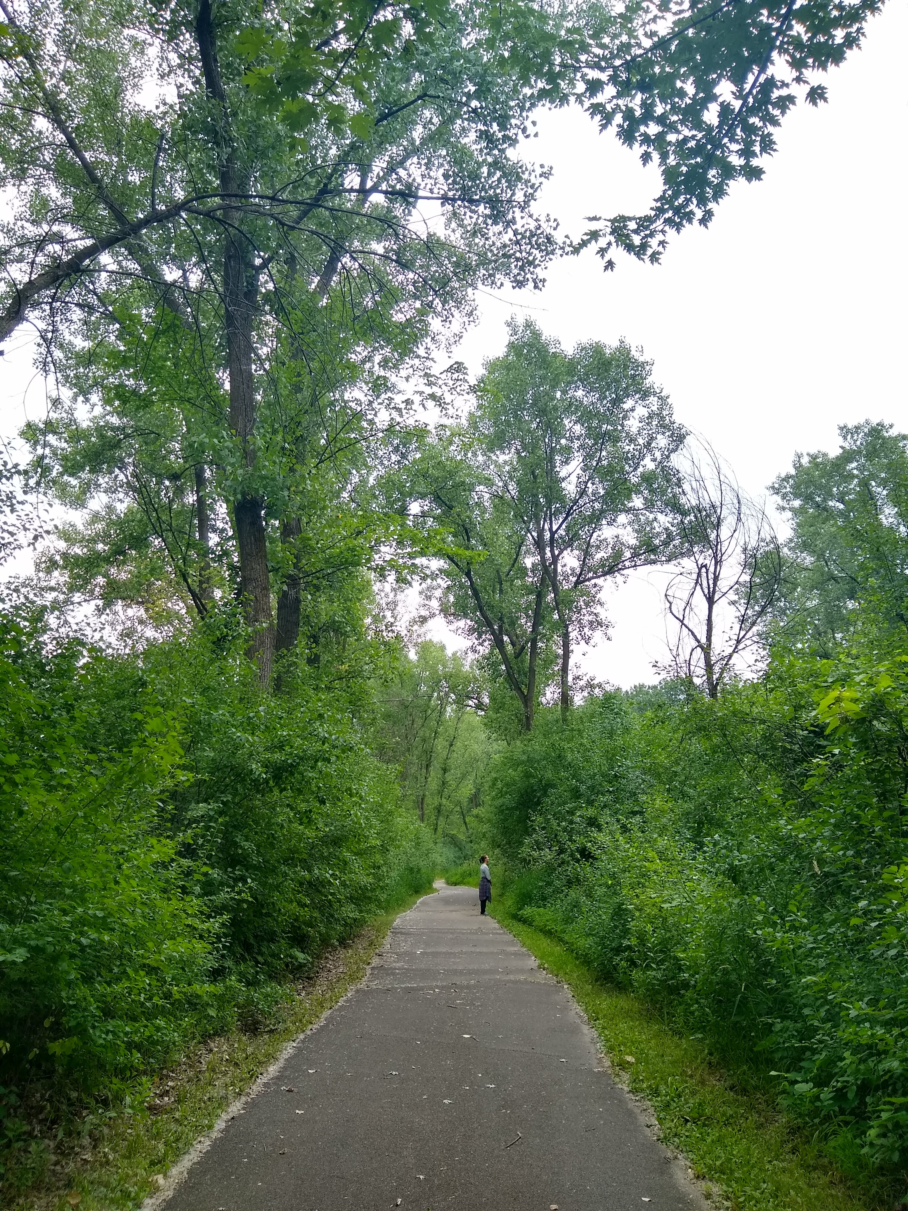 Solstice Shinrin-Yoku – Fort Snelling State Park