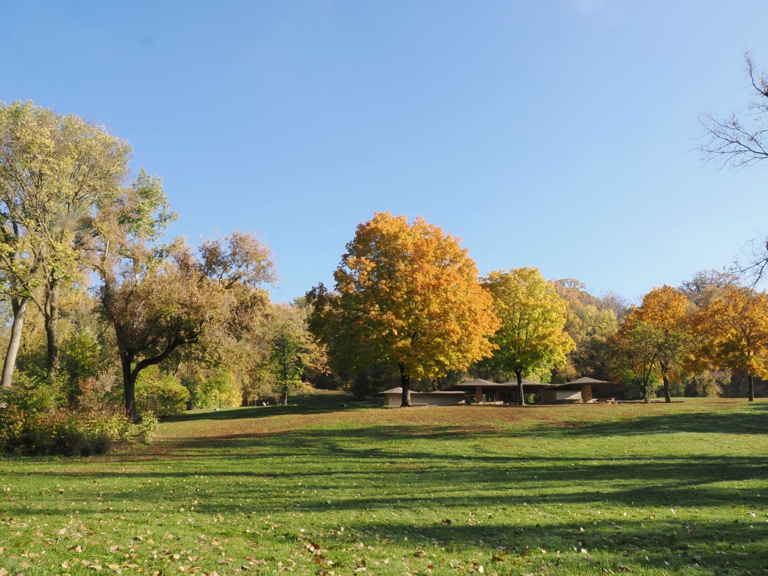 Taste of the Trees – Hidden Falls